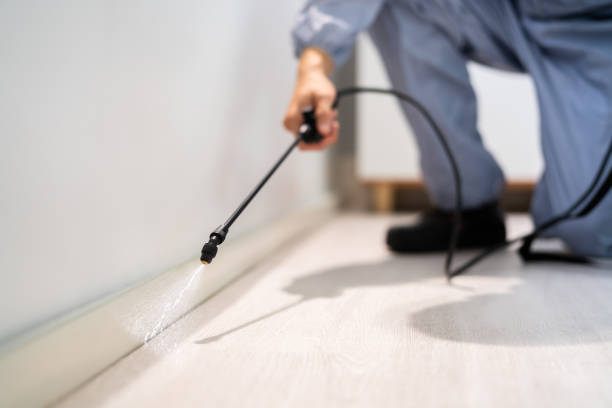 Licensed Cockroach Control service in Hinesville, GA - Nex Pest Control