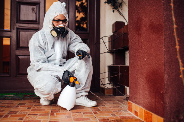 Reliable Cockroach Control contractor in Hinesville, GA by Nex Pest Control